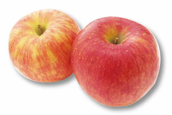 りんご2種セット（シナノドルチェ・秋映） 【常温便配達】【DM掲載商品】
